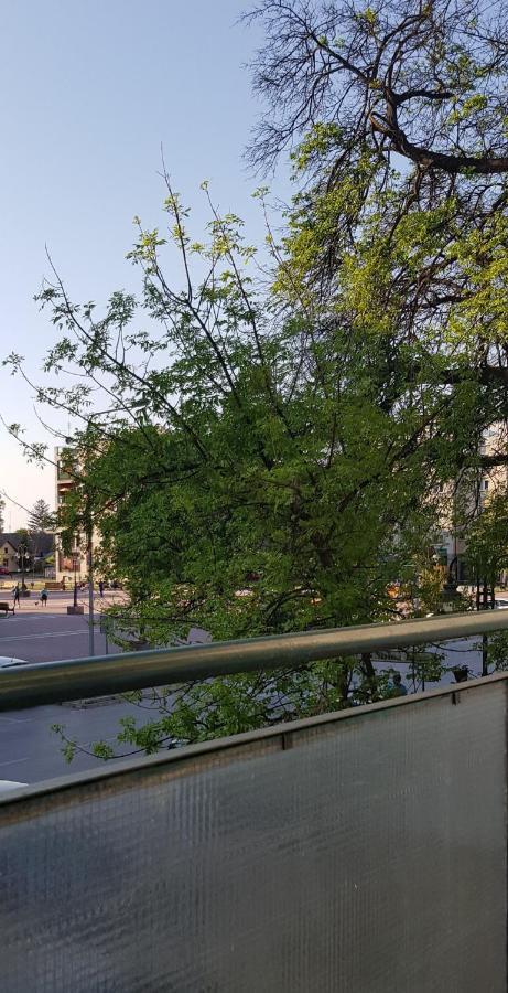 Appartamento Citys Apatin Esterno foto